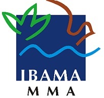 Licenciamento Ambiental IBAMA Licenciamento Ambiental IBAMA